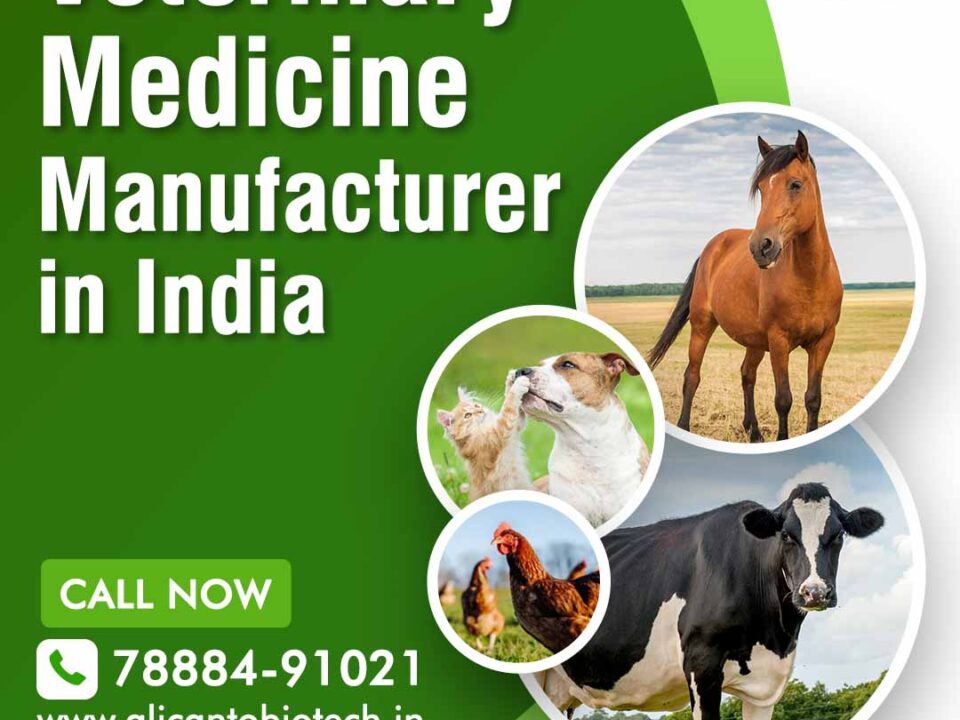 Veterinary Medicine Manufacturer in India